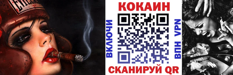 Купить где  Новоуральск  COCAIN Fish Scale 