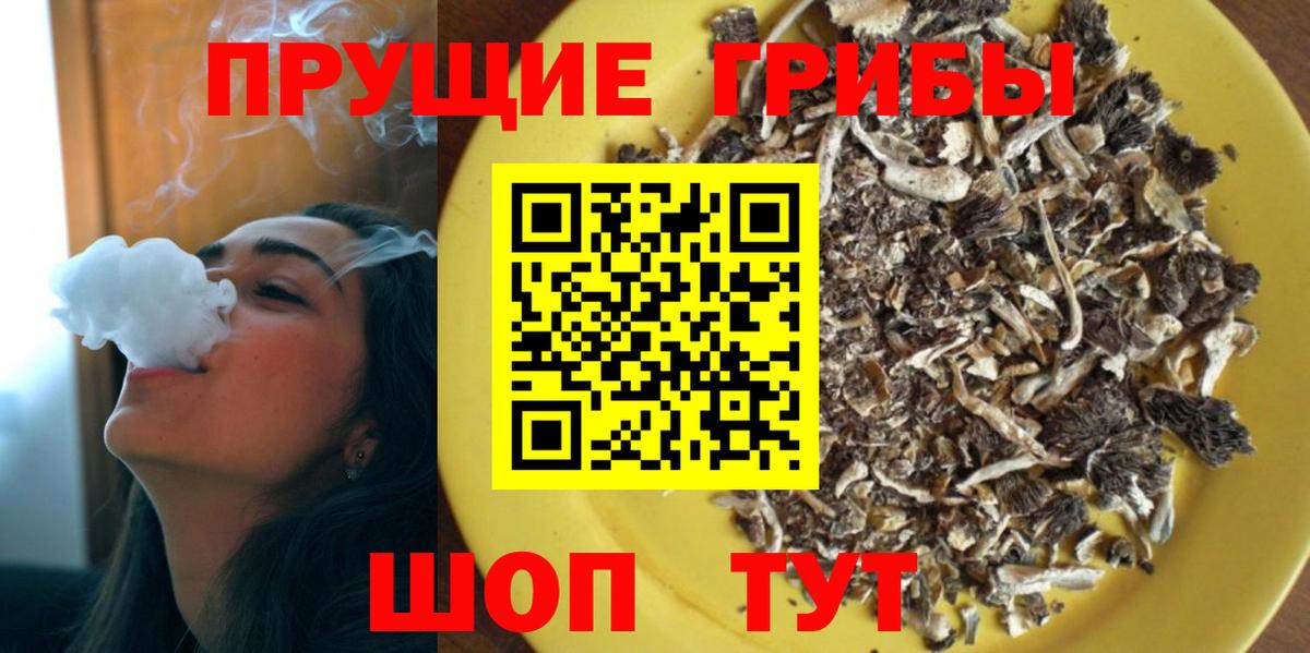 Новоуральск  Галлюциногенные грибы GOLDEN TEACHER  Вход с VPN  Псилоцибиновые грибы GOLDEN TEACHER 