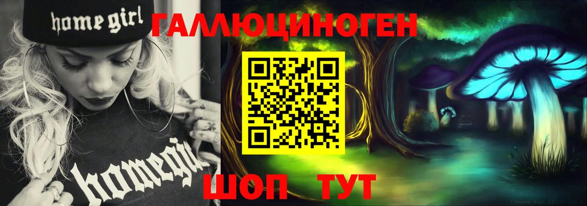 Псилоцибиновые грибы Psilocybine cubensis Новоуральск